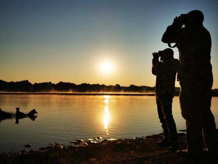 thumbnail WhatsApp Image 2021 11 04 at 16.58.44 768x576