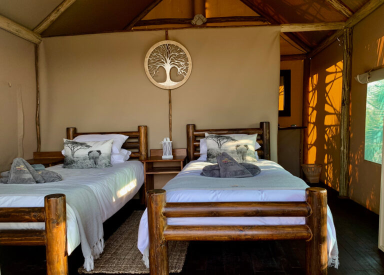 864E4540 73C3 4A87 BBA4 AD11FEF42330 1 201 a 768x550