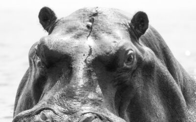 Issue July – December 2021