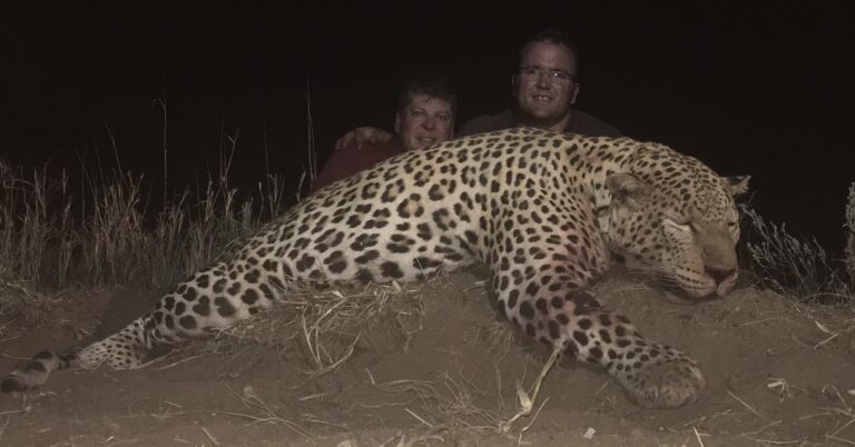 Ekuja Hunting Safari 2 768x402