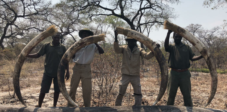 Ekuja Hunting Safari 7 768x378