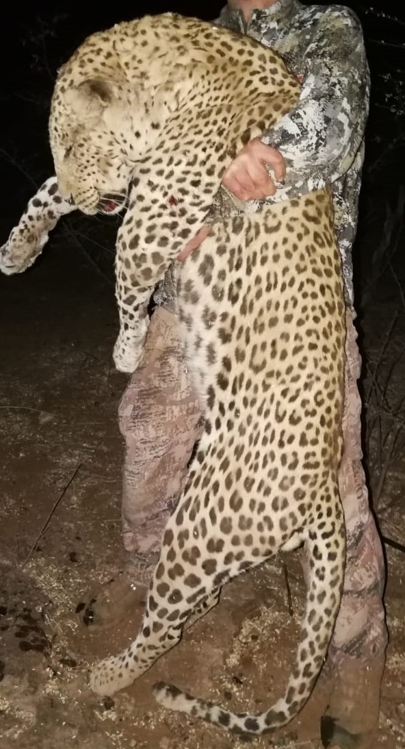 Namibia Leopard Ed