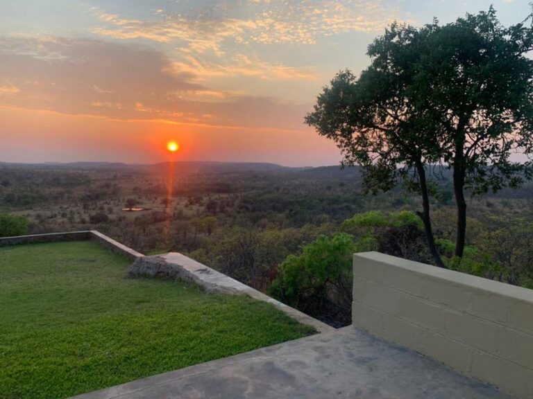 PHOTO 2021 11 03 10 25 04 6 768x576