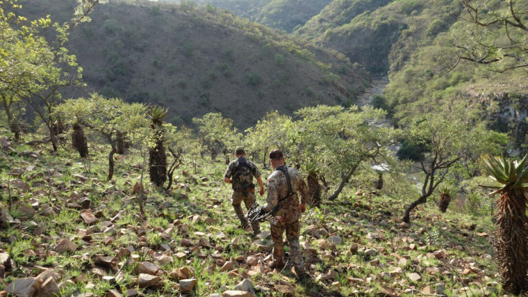 Tough Hunting 768x432