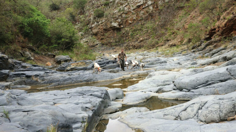 Tracking on the river 768x432