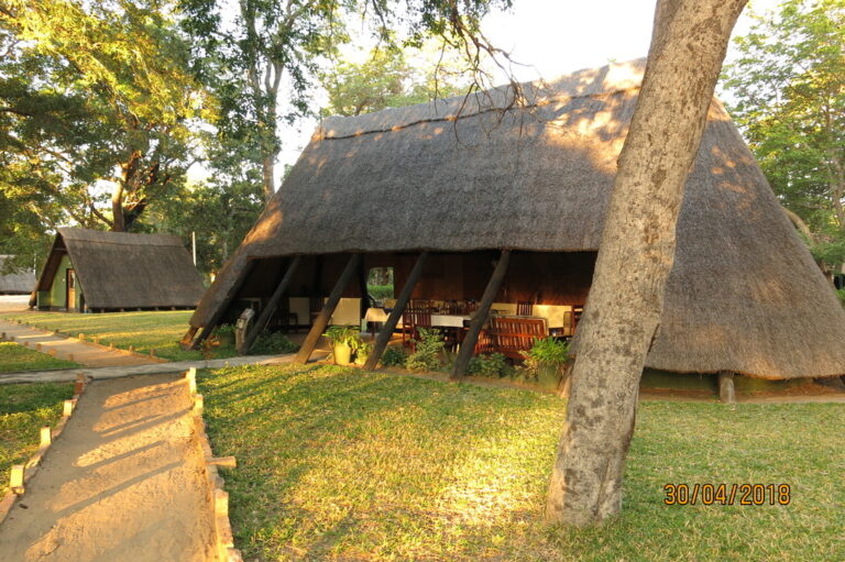 UNADJUSTEDNONRAW thumb 671 768x511