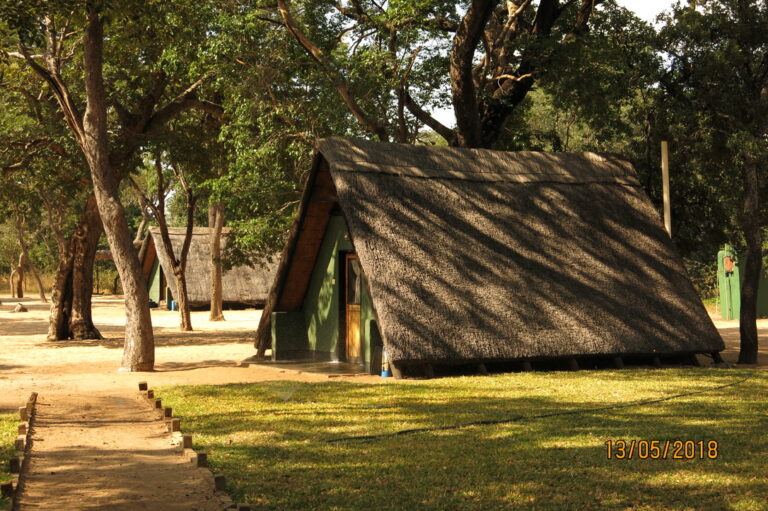 UNADJUSTEDNONRAW thumb 80d 768x511