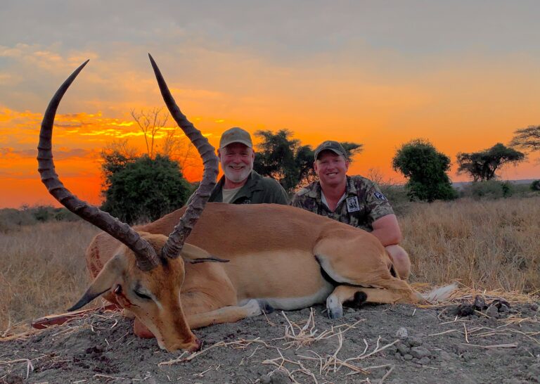 Impala Moelker 768x546
