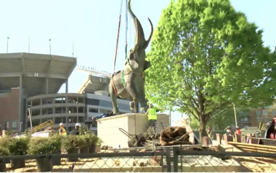 Terry Mathews’s Elephant – a Football Icon