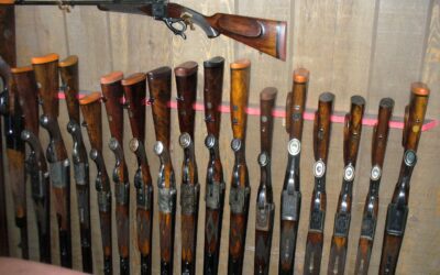 The .600 Nitro Express￼