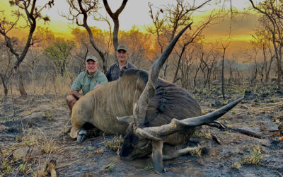 Hunting for “Blackie”