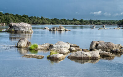 Zambia’s Kafue National Park now in the African Parks Portfolio