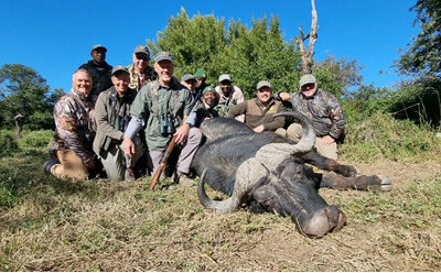 Hunting buffalo in the Eastern Cape