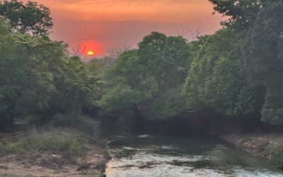 Africa’s Forgotten Wilderness