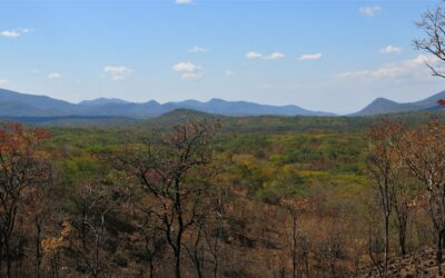 Dugga Boy! A Zambian Adventure