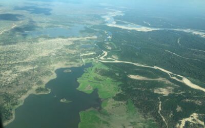 Nine Nights in the Selous – Authentic East Africa