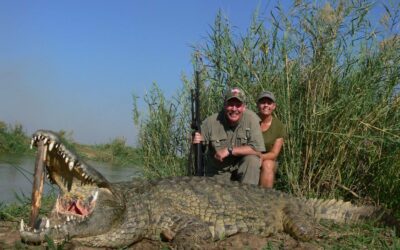 Hunting Mozambique with Mashambanzou