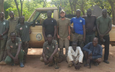 Grey? It’s actually Black and White – Anti-Poaching in Cameroon