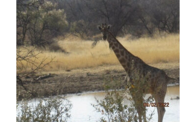 A Little Namibian Adventure