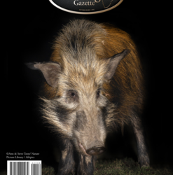 Issue January-June 2023