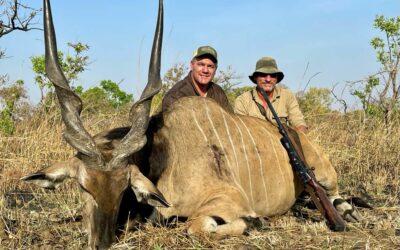 Hunting Lord Derby Eland in Cameroon with Mayo Oldiri