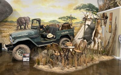 An Artistic Vision: what exactly is that in the world of taxidermy?