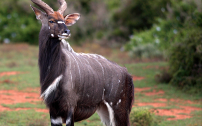 Issue July-September 2023