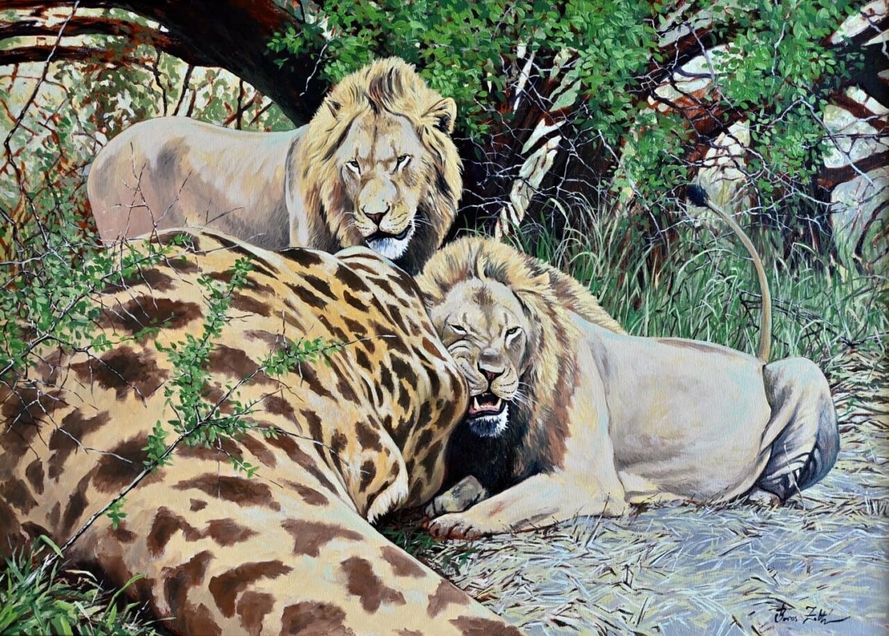 Wildlife Artist: Zoltan Boros - AHG