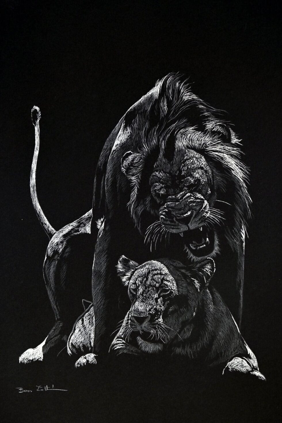 Wildlife Artist: Zoltan Boros - AHG