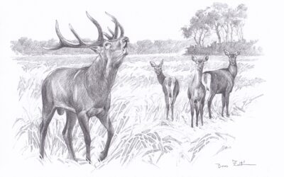 Rigby welcomes celebrated wildlife artist Zoltán Boros