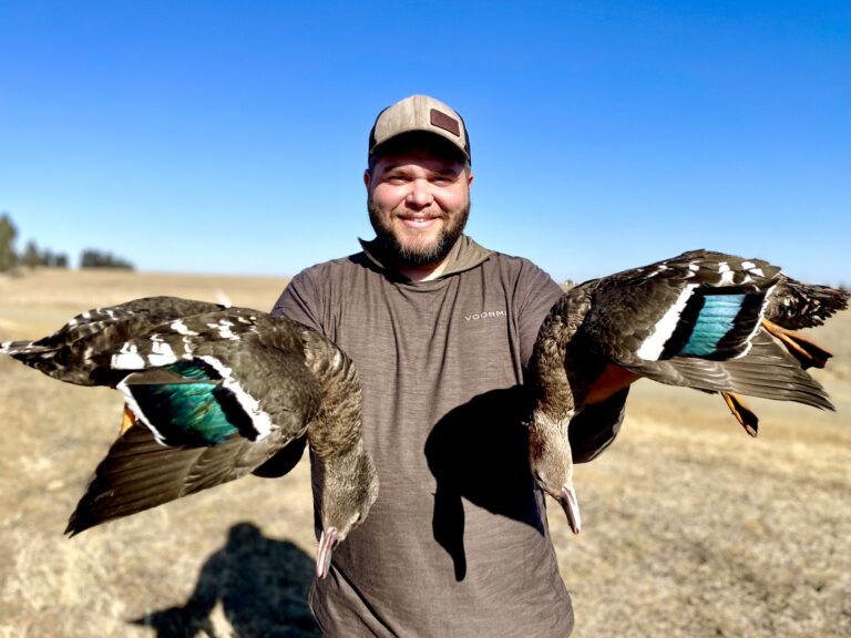 tempImage6F616T 768x576