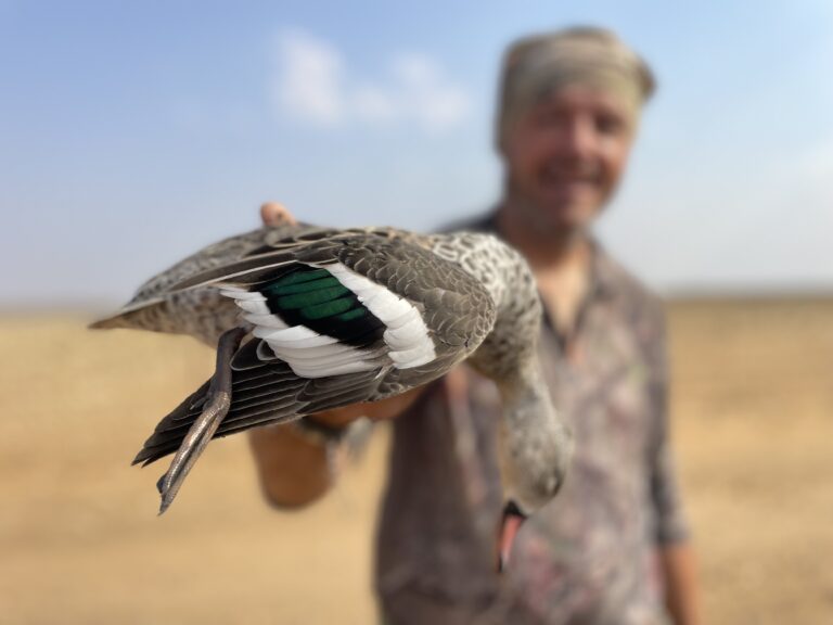 tempImageSreOLZ 768x576