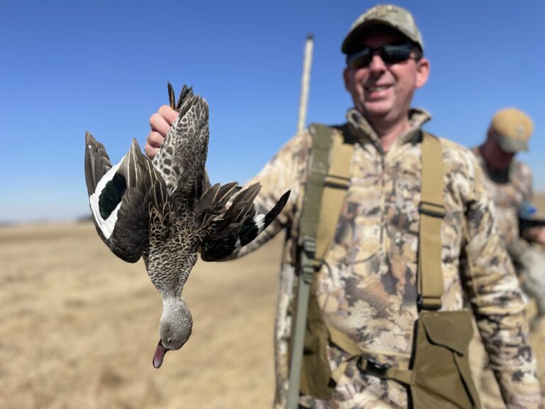 tempImageg7dDXy 768x576