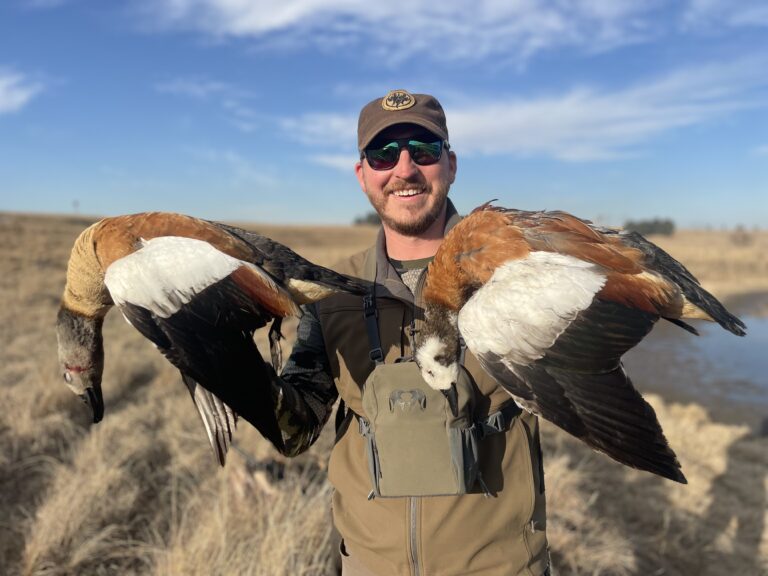 tempImagexJflLo 768x576