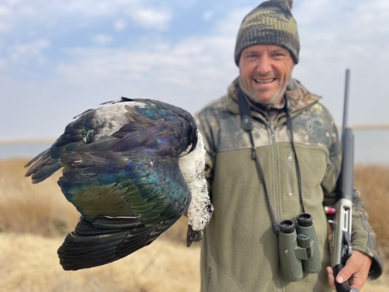 tempImagezCo1Ro 768x576