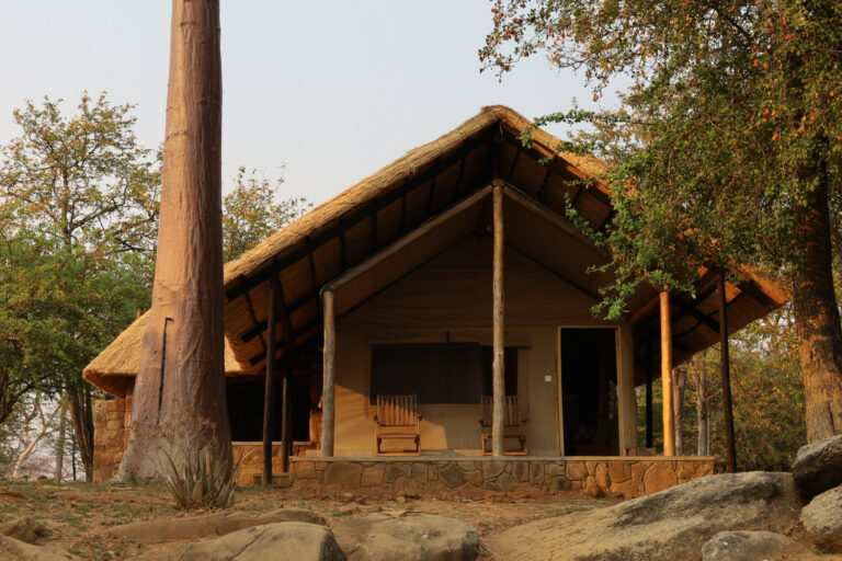 20200920191259 IMG 2620 768x512