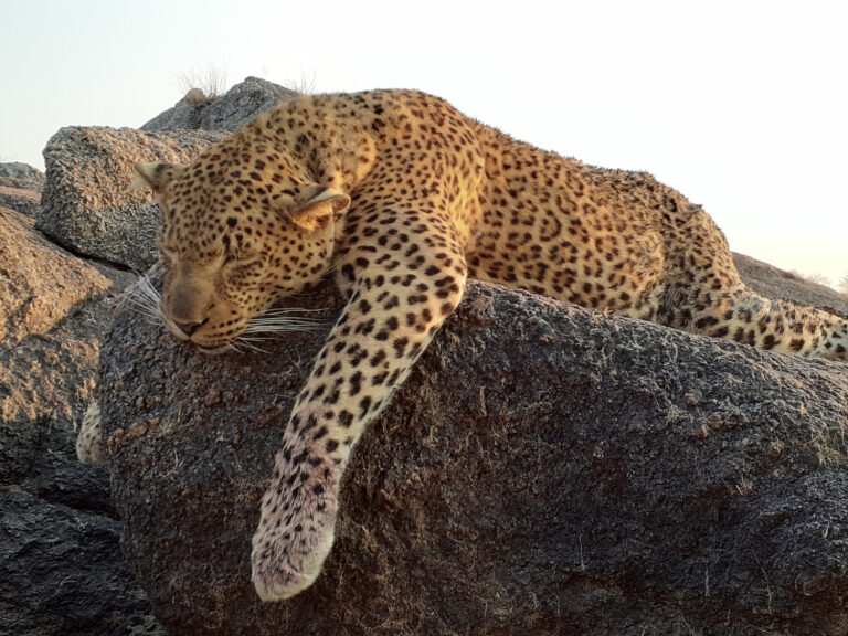 20201021 062623 768x576