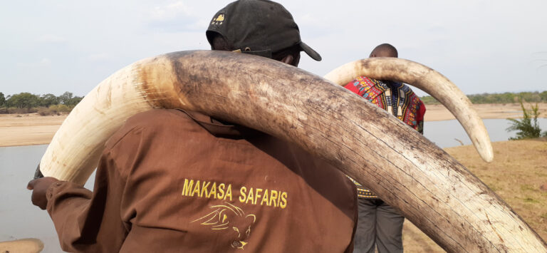 20221107 154959 768x355