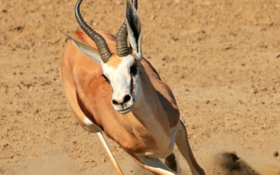 Issue January-March 2024