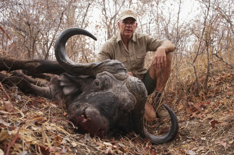 Copy of 8b1c719c 1d35 465b b378 3162d6eae60b 768x509