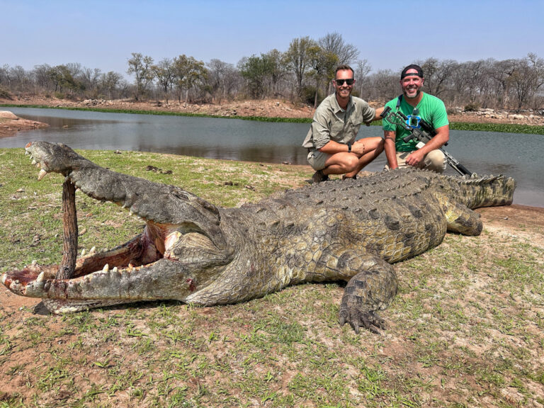 Copy of IMG 0956 768x576