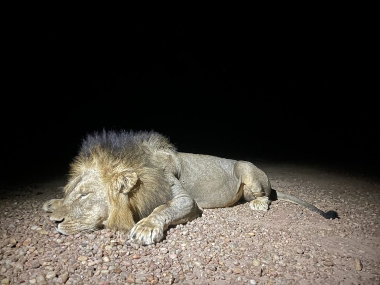 Copy of IMG 5712 768x576