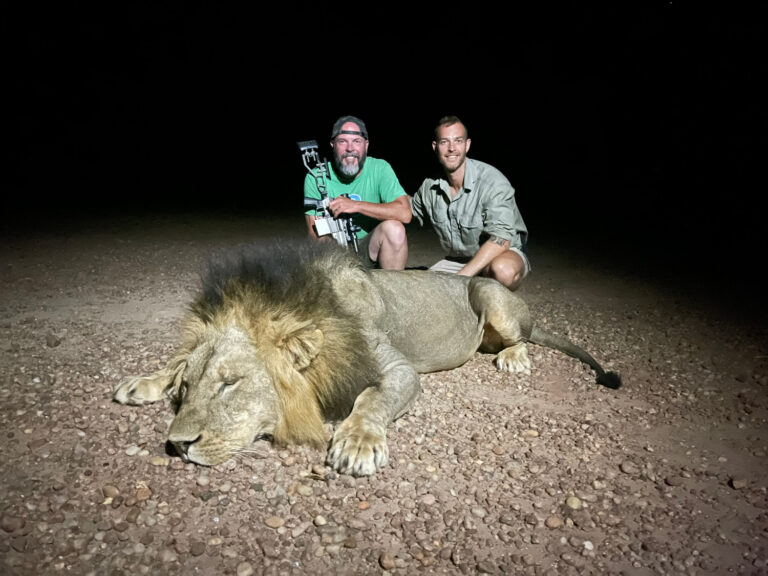 Copy of IMG 5747 768x576