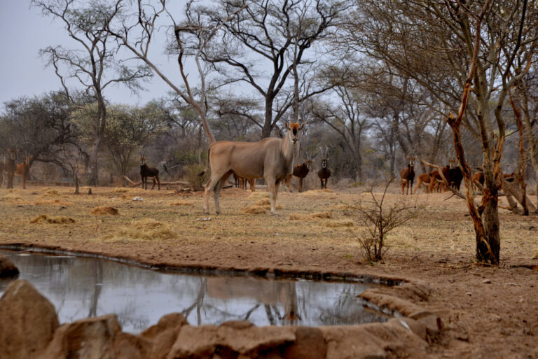 Nick Nolte B 34 768x513