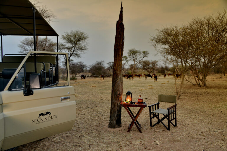 Nick Nolte B 43 768x513