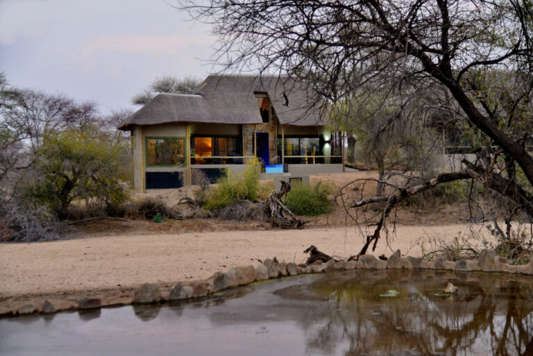 Nick Nolte B 45 768x513