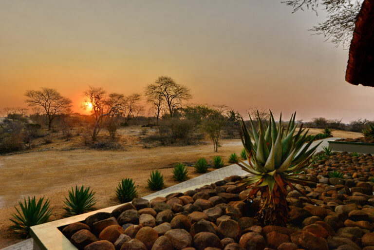 Nick Nolte Safaris August 100 768x513