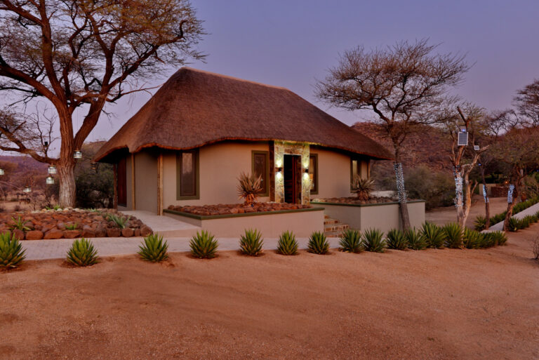 Nick Nolte Safaris August 114 768x513