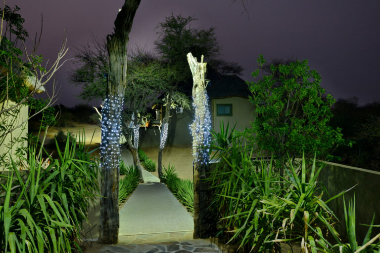 Nick Nolte Safaris August 163 768x513