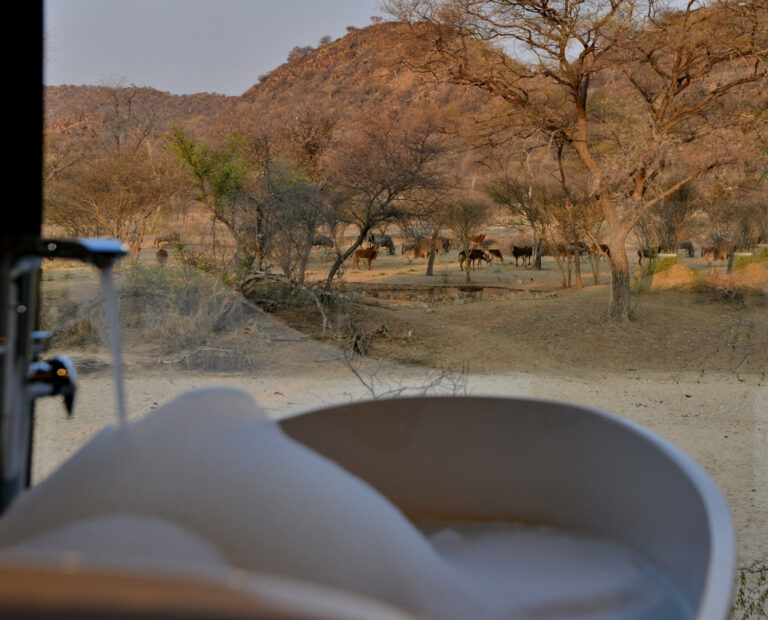 Nick Nolte Safaris August 91 768x620